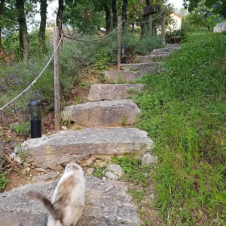Domaine Des Mathieux Labastide-Marnhac