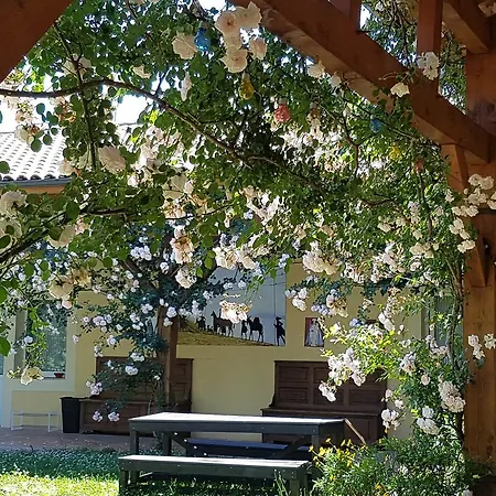 Couette-café Domaine Des Mathieux Labastide-Marnhac