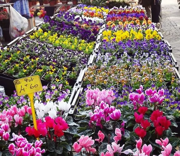 Domaine Des Mathieux Labastide-Marnhac