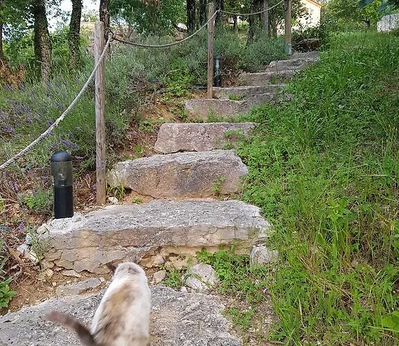 Domaine Des Mathieux Labastide-Marnhac