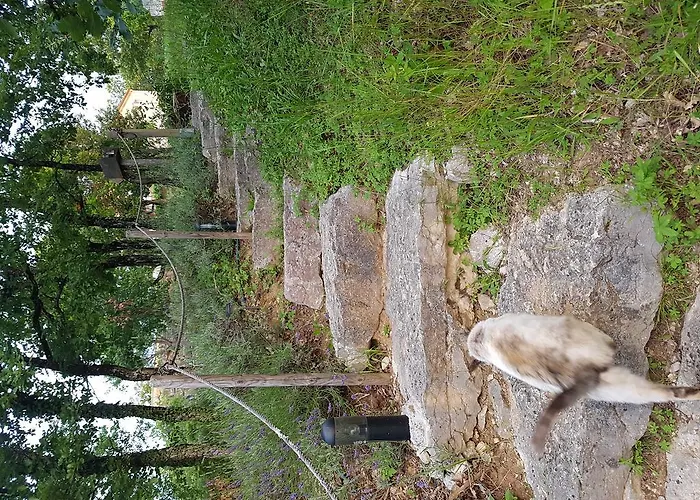 Oda ve Kahvaltı Domaine Des Mathieux *