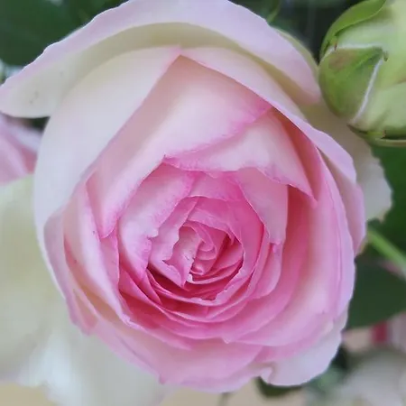 Bed and Breakfast Domaine Des Mathieux *