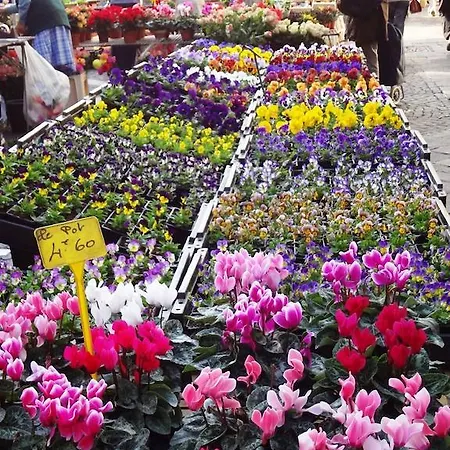 Domaine Des Mathieux Labastide-Marnhac