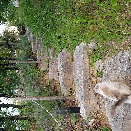 Bed and Breakfast Domaine Des Mathieux *