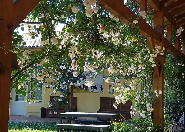 B&B Domaine Des Mathieux Labastide-Marnhac